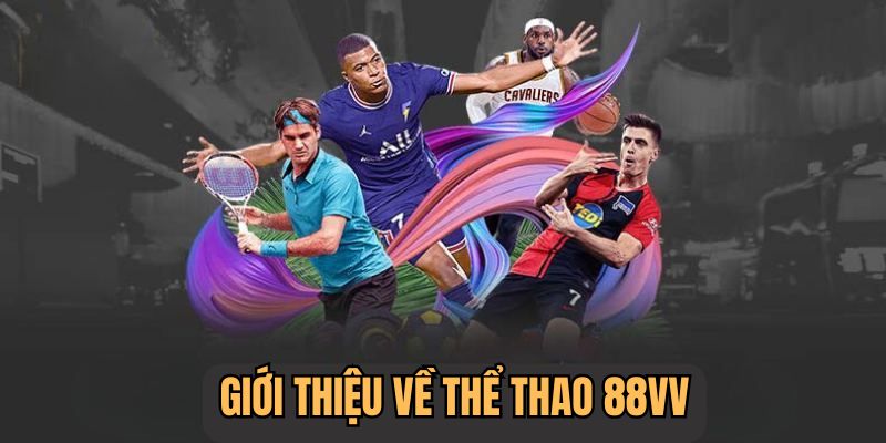 Tổng Quan Về Chuyên Mục Thể Thao 88VV